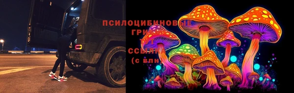 дурь Белокуриха