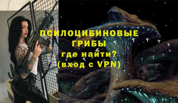 гашик Беломорск