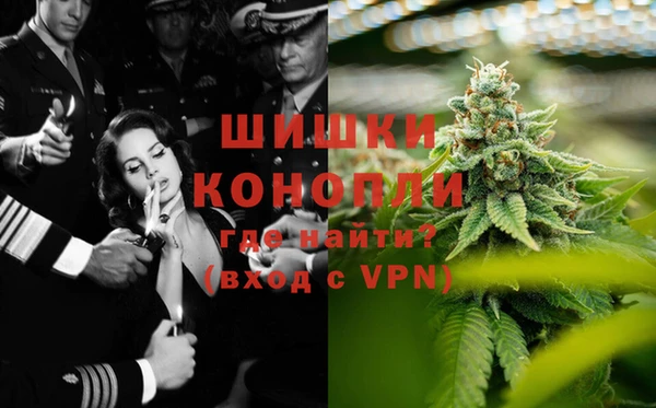 дурь Белокуриха